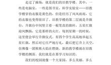 我们的校园作文400字