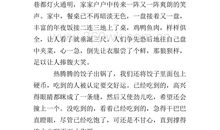 过新年作文800字