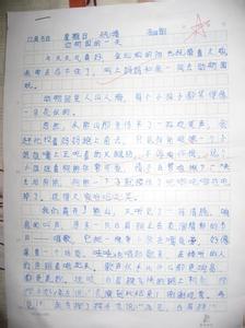 动物园作文200字