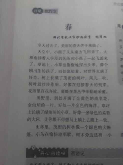 手工艺品组成200字