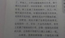 工艺品作文200字