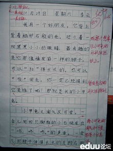 动物园游记作文300字