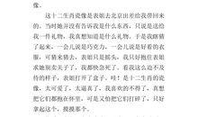 工艺品作文500字