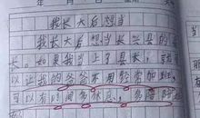 假如我是警察作文