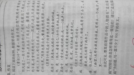 我的故事作文800字