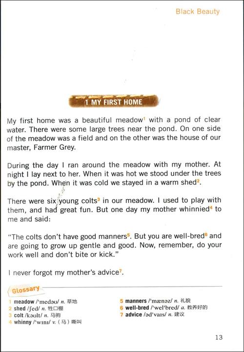黑骏马英语读后感