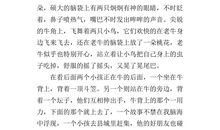 剪纸里的故事作文