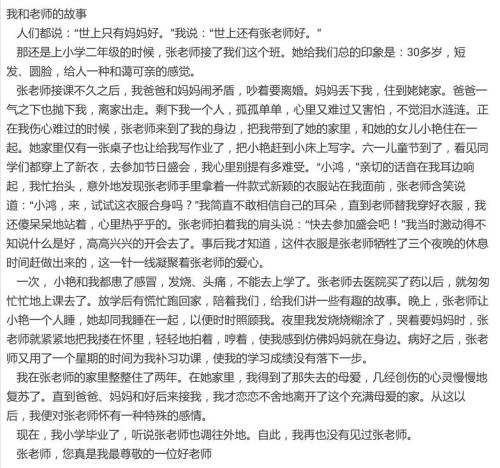 如果我是老师400个单词