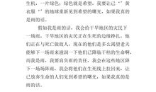 我的心愿作文200字