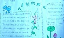 大自然的启示600字