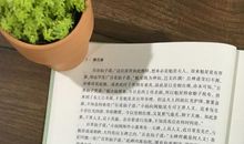 沈从文传记读后感