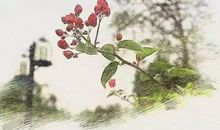 假如我是神笔马良