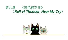 《黑色棉花田》读后感