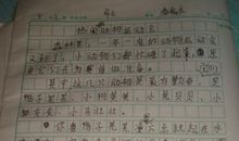 精彩的运动会作文