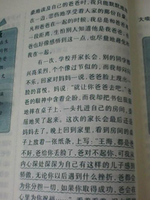 成功的滋味600字