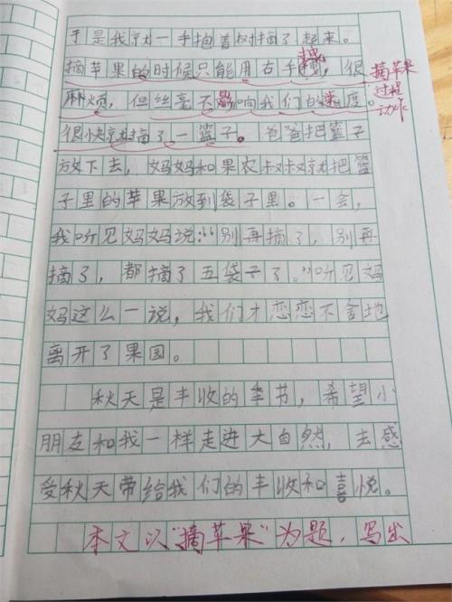 缺少初中生活的组成