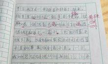 怀念初中生活的作文