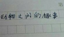 动物是人类的朋友作文