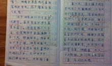 激烈的运动会作文