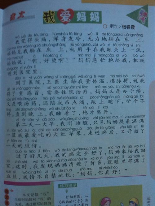 狗的自我报告作文500字