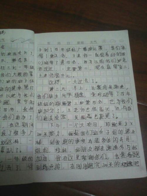 关于运动会的组成