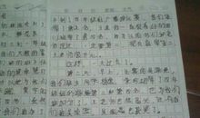 关于运动会的作文