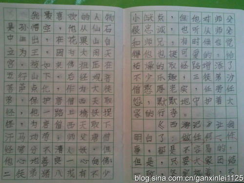 阅读初中作文后500字