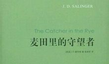 麦田守望者英文读后感