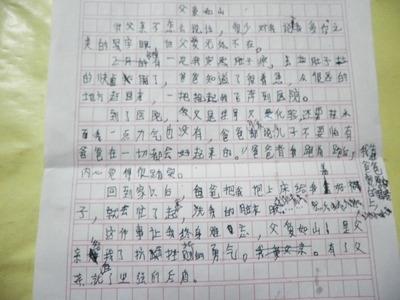父亲的爱情作文