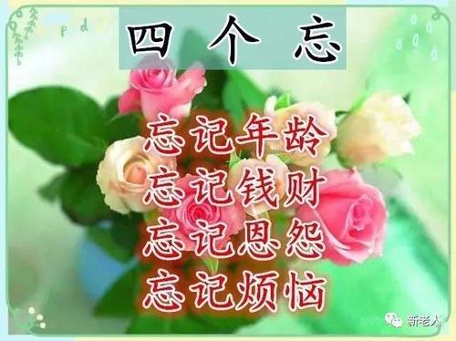 亲爱的朋友组成