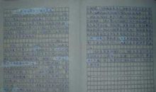 学校运动会作文