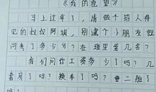 我的一个愿望作文