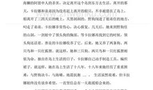 蓝色的海豚岛读后感300字