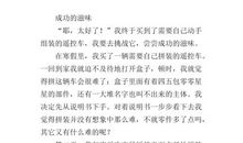 成功的滋味作文300字