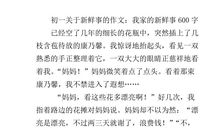 借物抒情的作文400字