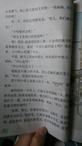 看完小学五年级后