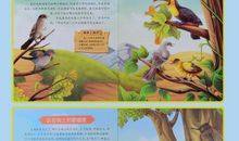 动物百科全书读后感