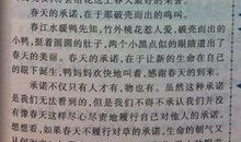 描写春天树的作文