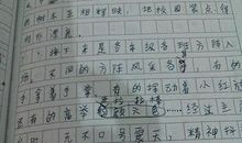 有关运动会的作文