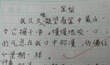 人与人之间的信任作文