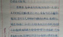 描写表演的作文