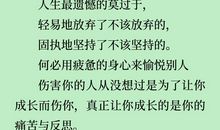 《善良屋与小磨房》读后感