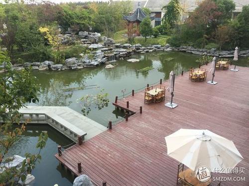 第一次成功的滋味