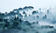 描写晨雾的作文