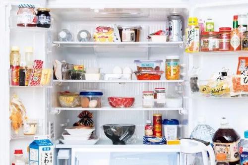 描述冰箱的成分