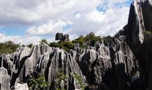 云南石林的作文