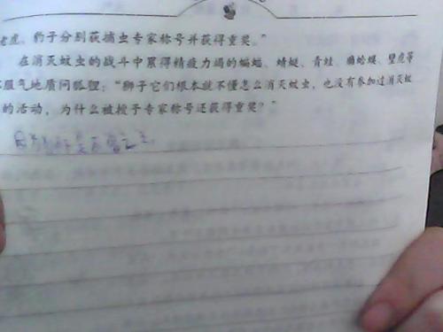 我的假期收获组成