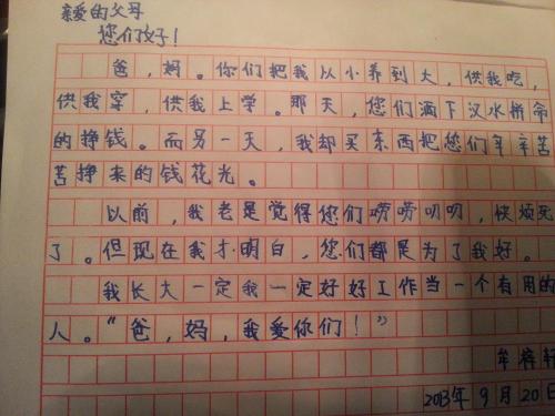 我的愿望400字