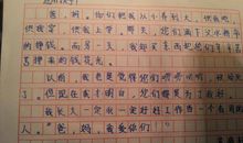 我的愿望400字
