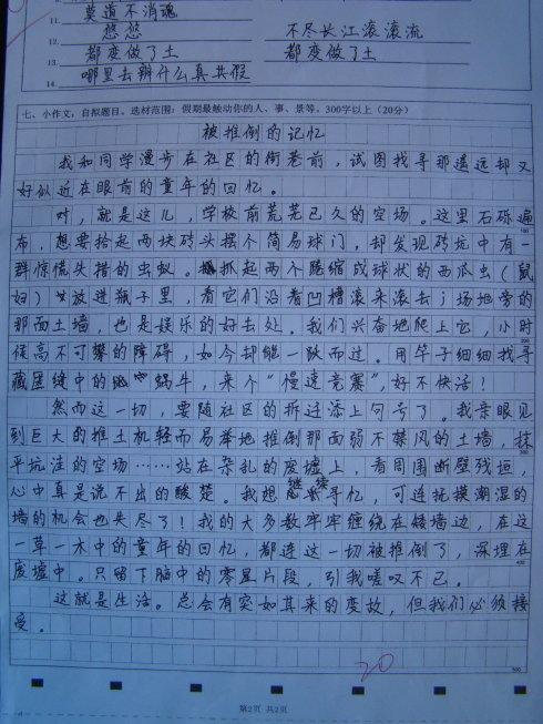 成功的快乐作文